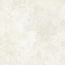 Elysian 60x30x2 unico Travertino Pearly Cross EY12