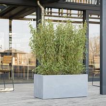 Argento Box 100 - Natural Grey - Plantruimte 92x42