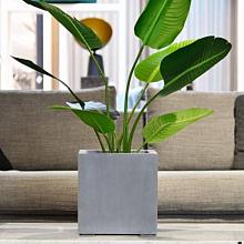 Argento Cube 60 - Natural Grey - Plantruimte 50x50