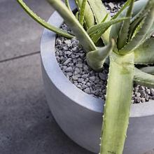 Argento New Egg Pot 36 - Natural Grey - Plantruimte Ø30
