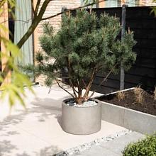 Grigio Cylinder 48 - Natural Concrete - Plantruimte Ø40