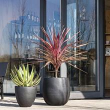 Grigio Egg Pot 50 - Anthracite - Plantruimte Ø44