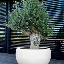 Grigio Elena 50 - Antique White - Plantruimte Ø39