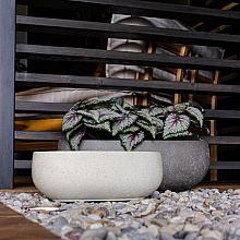 Grigio Longtail 45 - Antique White - Plantruimte 39x17
