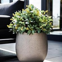 Grigio Metallic Balloon 30 - Champagne - Plantruimte Ø21,5