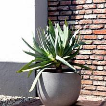 Grigio New Egg Pot 36 - Natural Concrete - Plantruimte Ø30