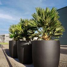 Grigio Tall Egg Pot 30 - Anthracite - Plantruimte Ø24