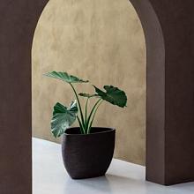 Ruvido Organic 67 - Ash Brown - Plantruimte Ø48