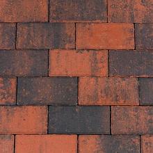 BSS Roosjespeer Komo 6cm