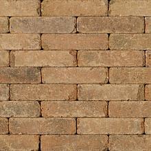 Tonique Rustiek waalformaat Kweepeer 20x5x7 cm