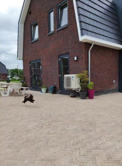 Tonique Rustiek waalformaat Kweepeer 20x5x7 cm
