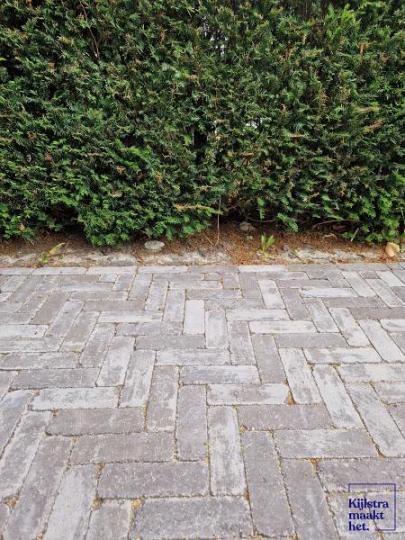 Tonique Rustiek dikformaat Madame 21x7x6 cm
