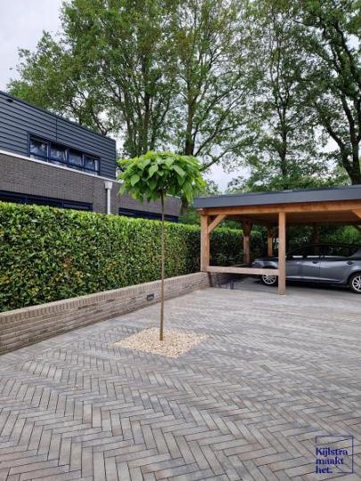 Portico dikformaat XL Ortega  28x7x8 cm