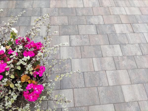 H2O comfort square 20x30x6 cm tricolore