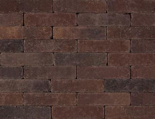 Tonique Rustiek waalformaat Brederode 20x5x7 cm