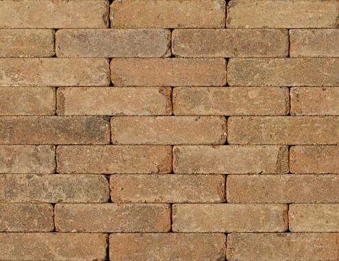 Tonique Rustiek waalformaat Kweepeer 20x5x7 cm